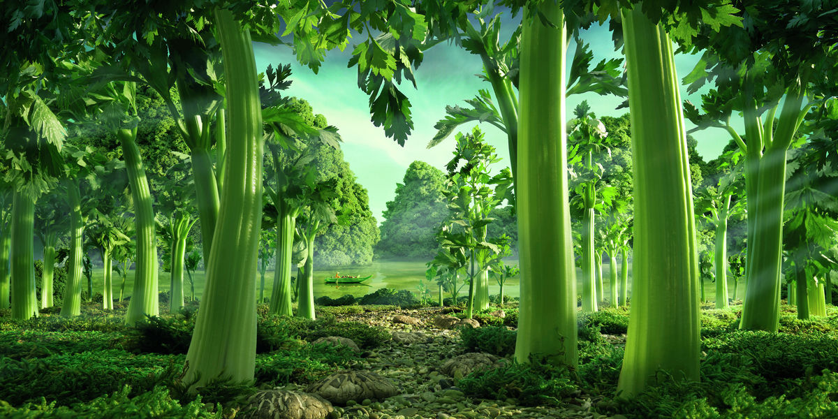 Celery Forest